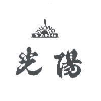 光陽 KUANG YANG 及圖