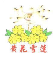 黃花雪蓮及圖