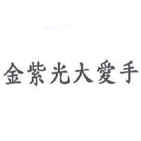 金紫光大愛手