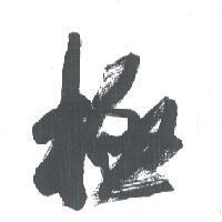 極設計圖