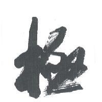 極設計圖