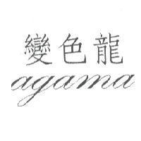 變色龍 agama
