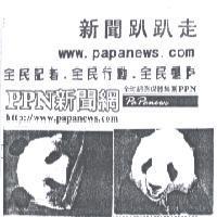 新聞趴趴走,PPN 新聞網,全球網路媒體集團及圖