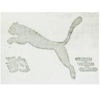 豹王及圖