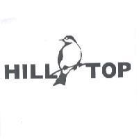 HILLTOP 鳥圖