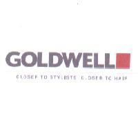 GOLDWELL CLOSER TO STYLISTS.CLOSER TO HAIR. & logo