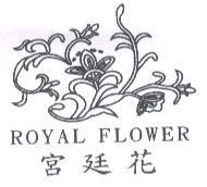 宮廷花 ROYAL FLOWER 及圖