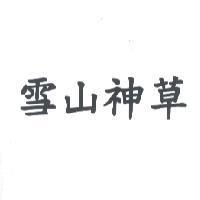 雪山神草