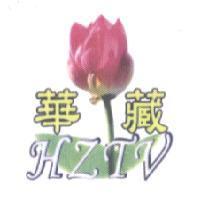 HZTV 華藏及圖