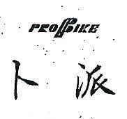卜派 PROFIKE 