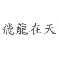 飛龍在天