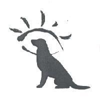 導盲犬圖
