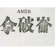 拿破崙 AMIR