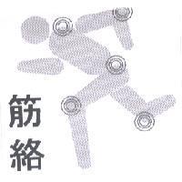 筋絡及圖