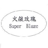 火焰玫瑰 Super Blaze 及圖