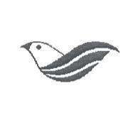 鳥設計圖