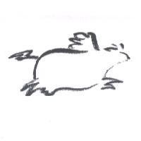 飛牛設計圖