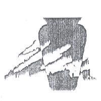 花瓶圖