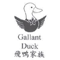 Gallant Duck 飛鴨家族及圖
