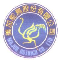 美加 MAJOR 及圖