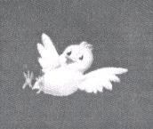鳥圖