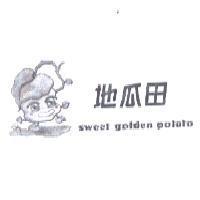 地瓜田 SWEET GOLDEN POTATO 及圖