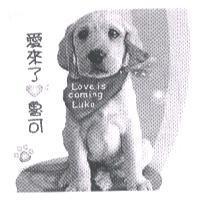 愛來了 魯可 LOVE IS COMING LUKO 及圖