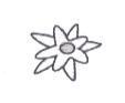 小白花 logo