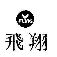 飛翔及圖 FLYING