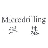 洋基 Microdrilling