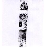 仙女棒及圖