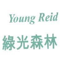 Young Reid 綠光森林