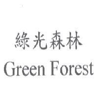 Green Forest 綠光森林