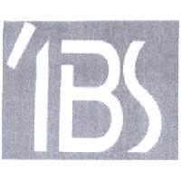 1BS 及圖