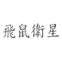 飛鼠衛星
