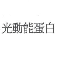 光動能蛋白