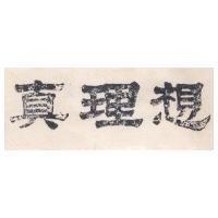 真理想