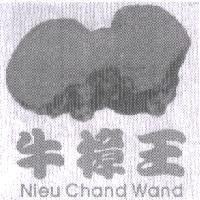 牛樟王 Nieu Chand Wand 及圖