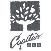 凱福登 Capita'n 及圖