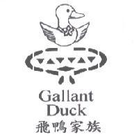 Gallant Duck 飛鴨家族及圖