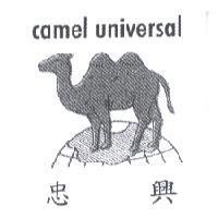 camel universal 忠興及圖