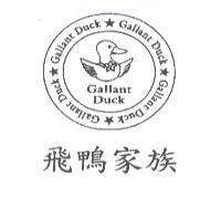 飛鴨家族 Gallant Duck 及圖