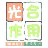 光合作用 及圖