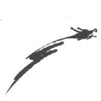 飛龍設計圖