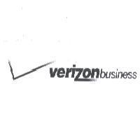 VERIZON BUSINESS HORIZONTAL