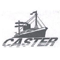 CASTER 及圖