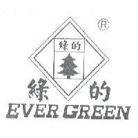 綠的 EVER GREEN 及圖