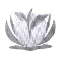 李淑美標章