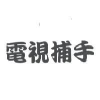電視捕手