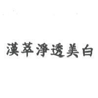 漢萃淨透美白